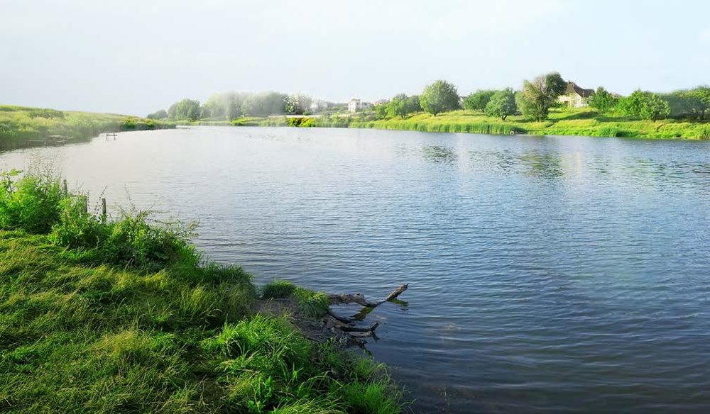 Rivière et berges
